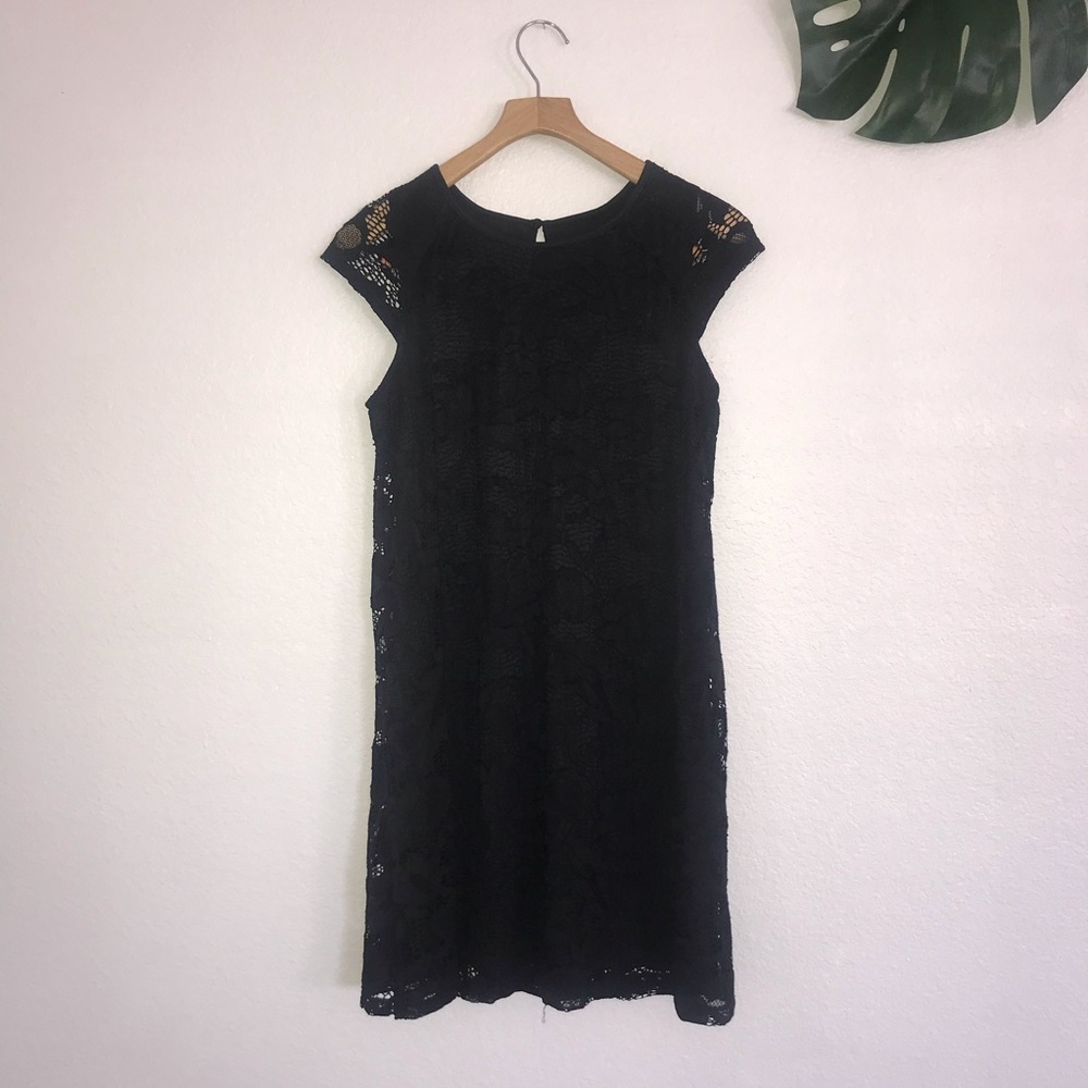 Dress Barn Black Lace Dress
